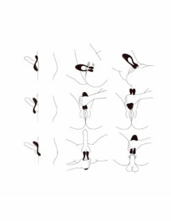 Doppio 2.0 Télécommandé -PASSAGE DU DESIR Ventes doppio 20 telecommande 2