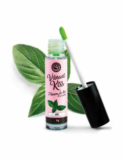 Secret Play Gloss Vibrant Kiss