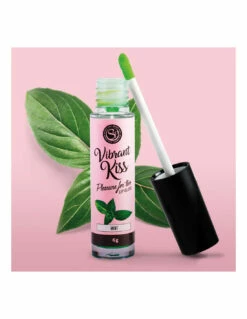 Secret Play Gloss Vibrant Kiss -PASSAGE DU DESIR Ventes gloss vibrant kiss 3