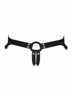 Harnais Confort Astrap-Moi -PASSAGE DU DESIR Ventes harnais confort astrap moi 5