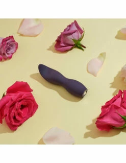 Kalya Galet Rechargeable -PASSAGE DU DESIR Ventes kalya galet rechargeable 4