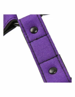 Menottes Mains Et Chevilles Pop -PASSAGE DU DESIR Ventes menottes mains et chevilles pop 2