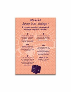 Plumeau Strass HoLàLà -PASSAGE DU DESIR Ventes plumeau strass holala 2