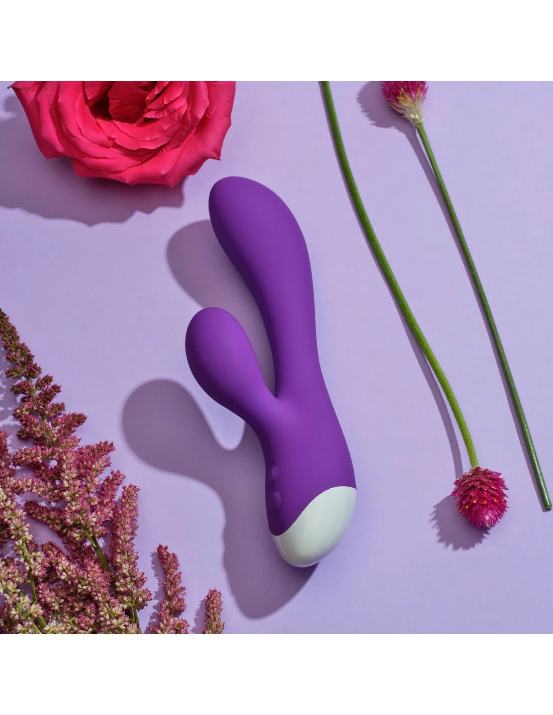 Rabbit Alizia 2 2 Rabbit Alizia 2 – Image 2