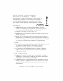 Aneros Kit De Stimulation Anale Peridise -PASSAGE DU DESIR Ventes stimulateur anal non vibrant peridise 2