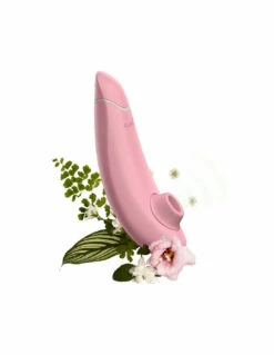 PASSAGE DU DESIR Ventes 48 Womanizer Premium Eco